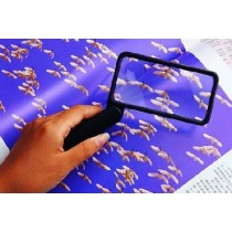 Essential Everyday Essentials Folding Rectangular Magnifier